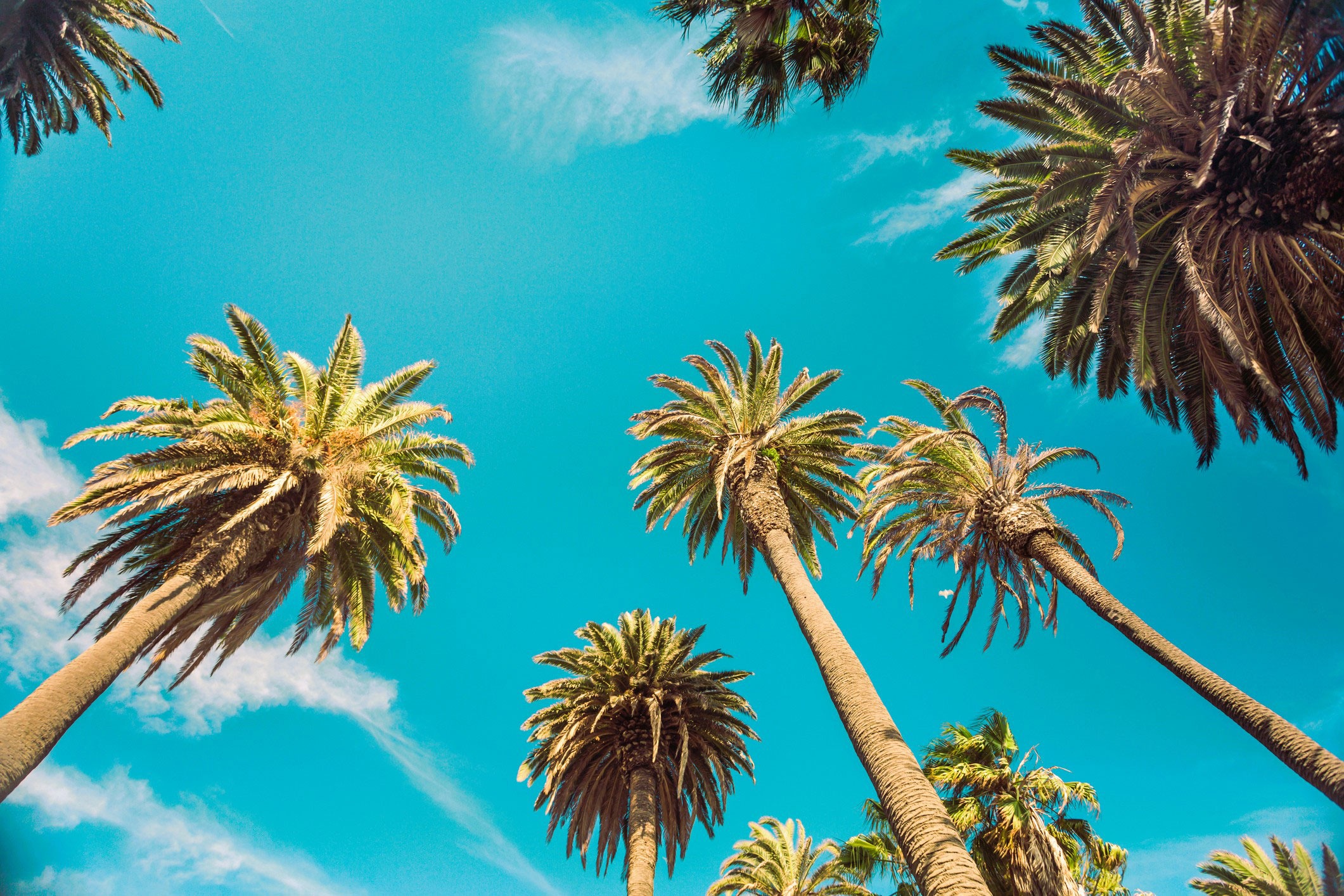 ICONIC SUNSET STRIP HEADQUARTERS