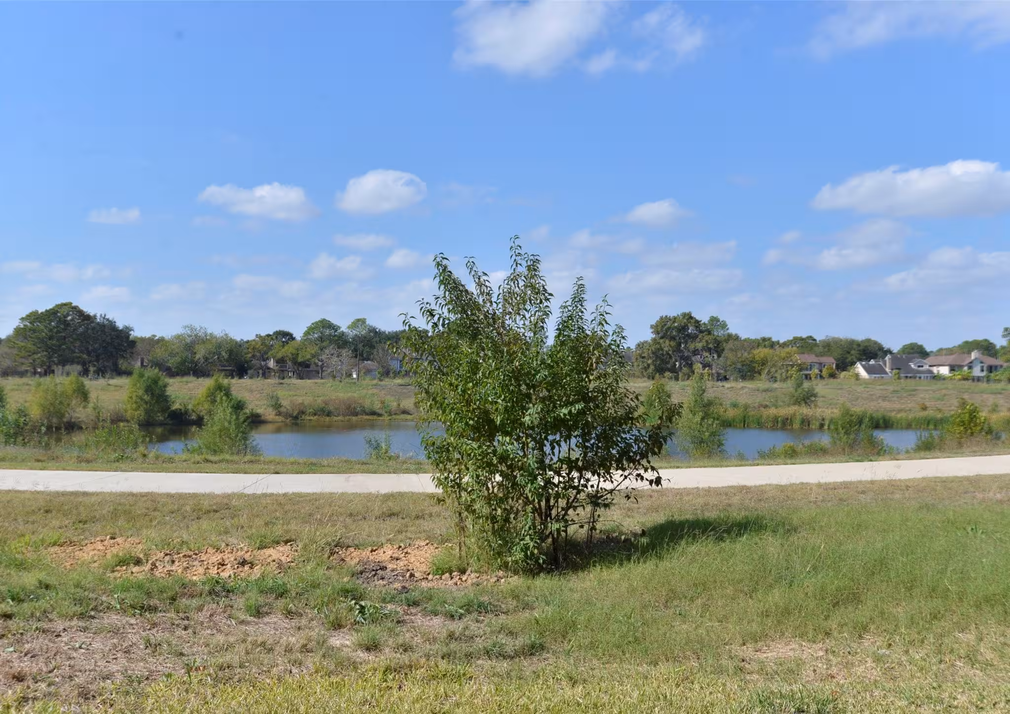 Property Highlight 34