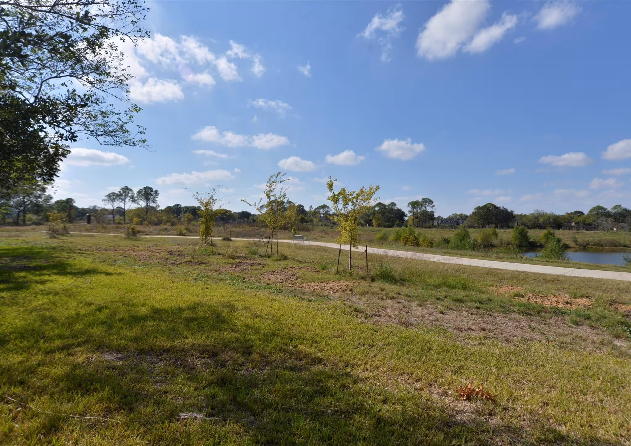 Property Highlight 36